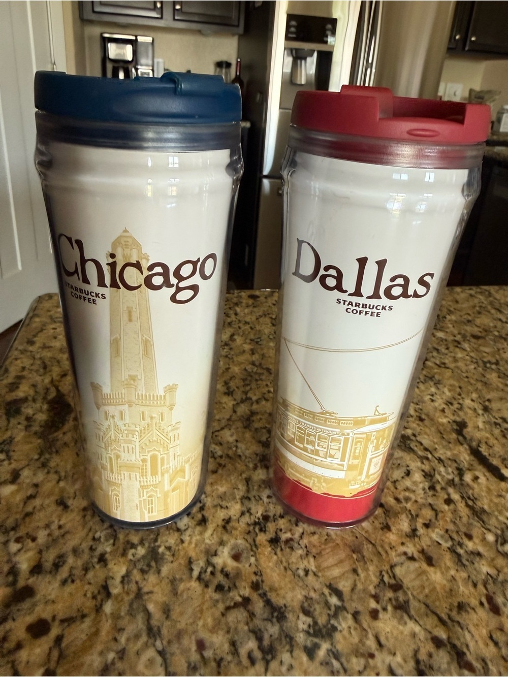 Starbucks City Series Travel Tumblers Chicago & Dallas 12 oz Set (2004 series)